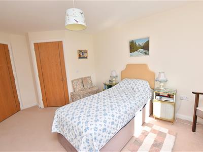Picture 8
